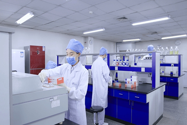 企业定制宣传视频